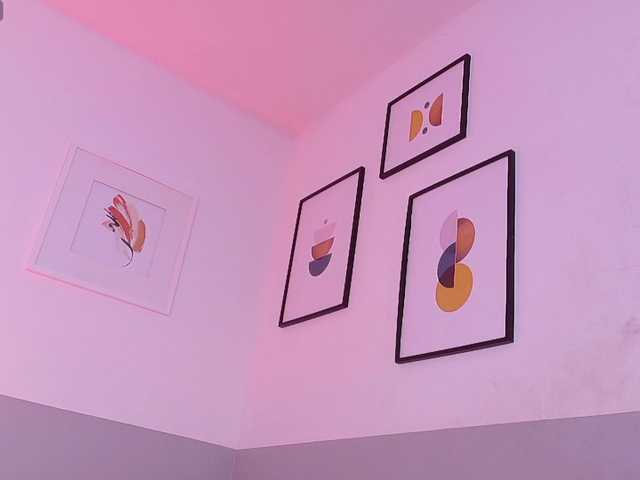 hollyvega's BongaCams show and profile