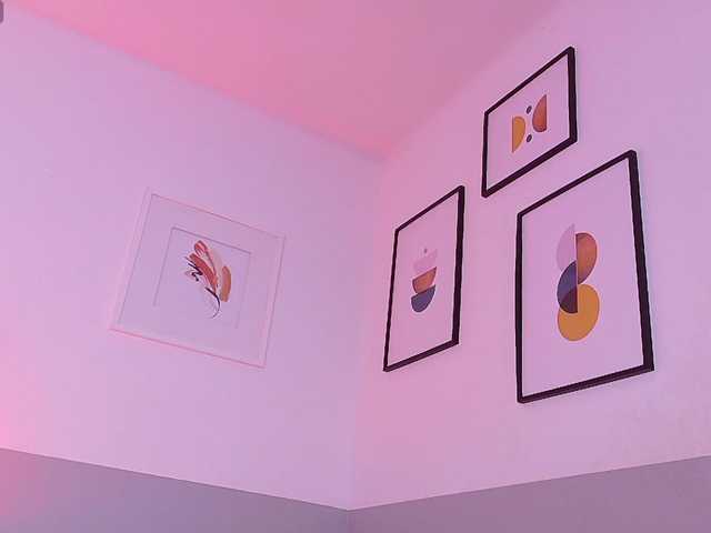 hollyvega's BongaCams show and profile