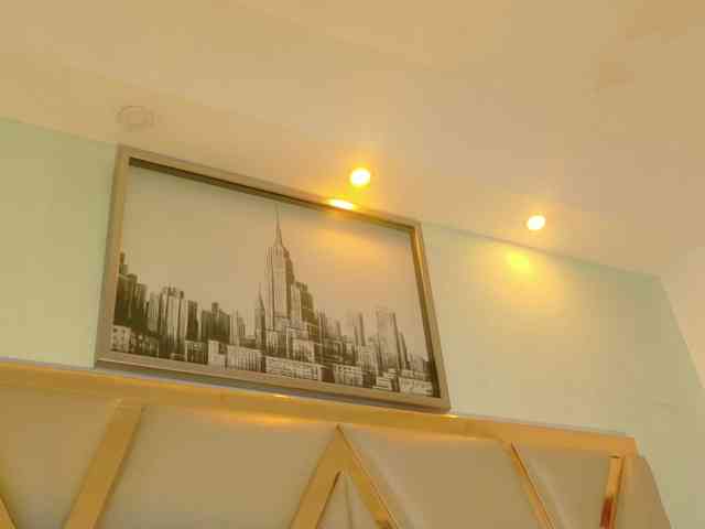hollyvega webcam