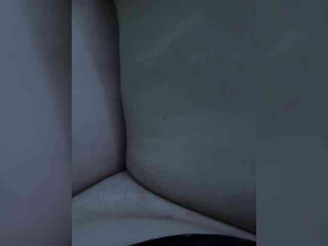 L1gaHirakawa webcam