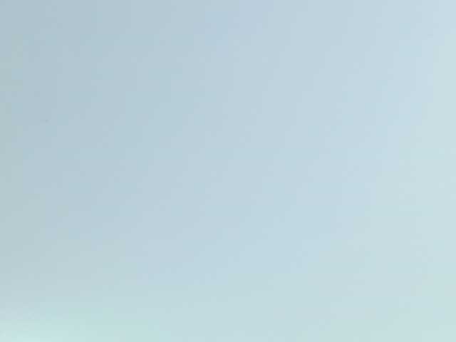 PalmerBeaumont's BongaCams show and profile