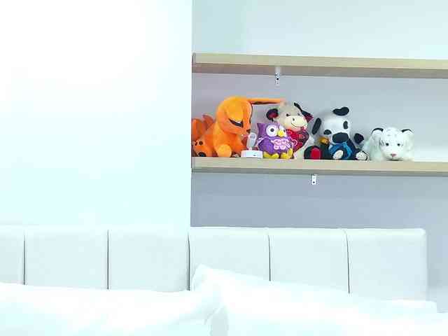 PalmerBeaumont webcam