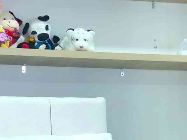 PalmerBeaumont webcam