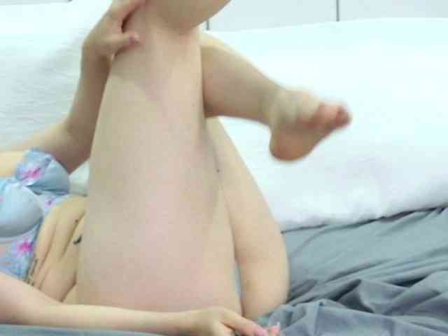 PalmerBeaumont webcam