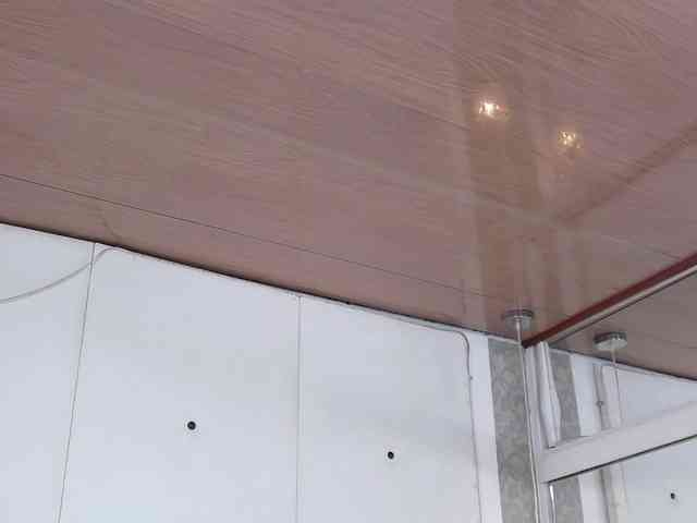 PalmerBeaumont webcam