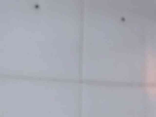 PalmerBeaumont webcam