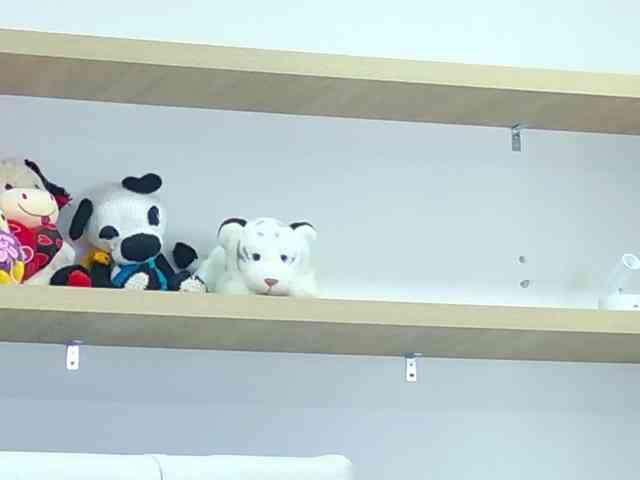 PalmerBeaumont webcam