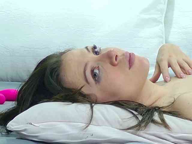 PalmerBeaumont webcam