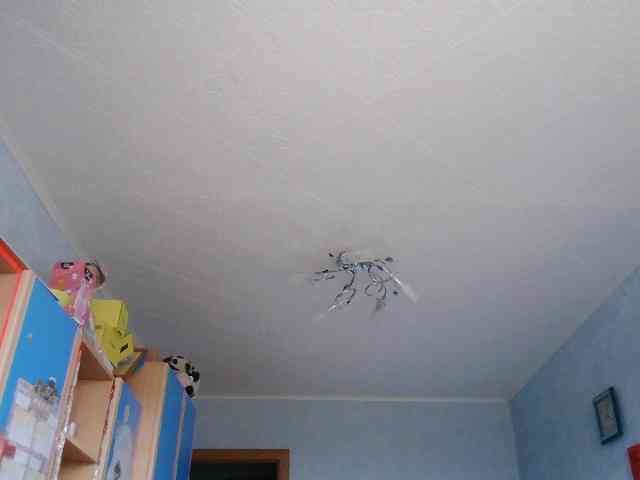 Babysun webcam