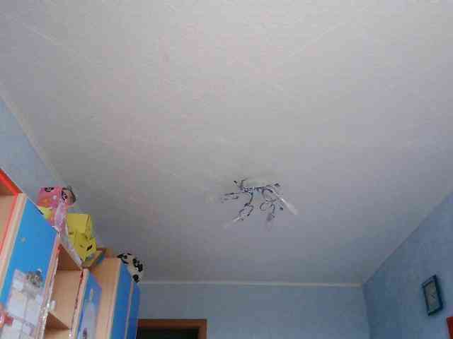 Babysun webcam