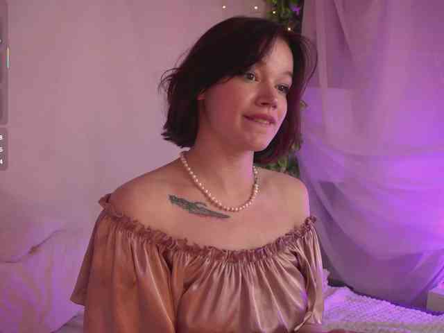 Shyover webcam