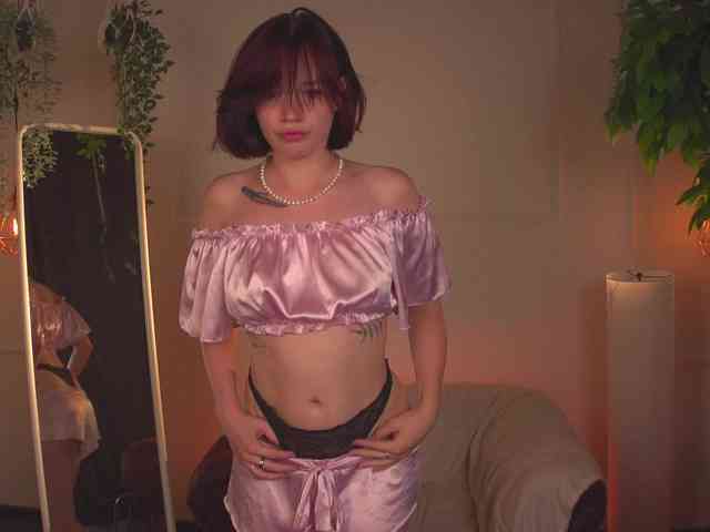Shyover webcam
