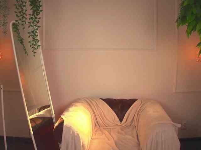Shyover webcam
