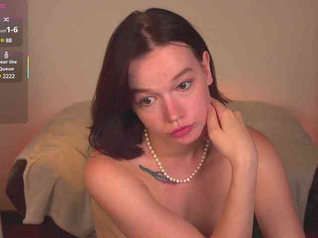 Shyover webcam