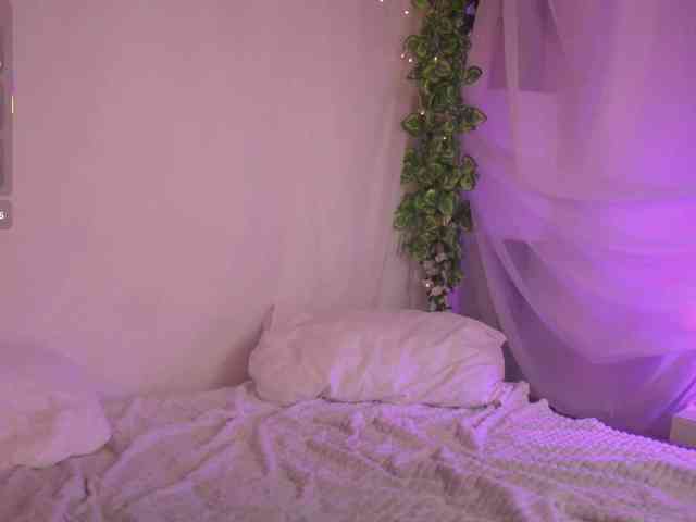 Shyover webcam