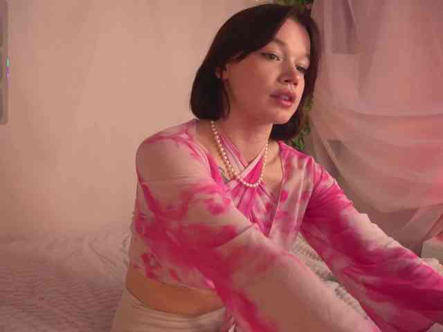 Shyover webcam