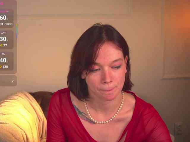Shyover webcam