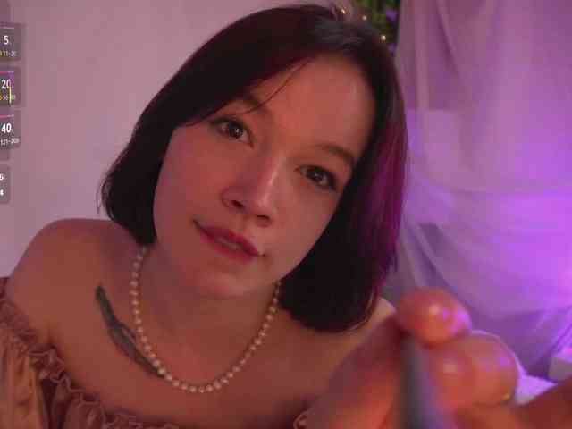 Shyover webcam