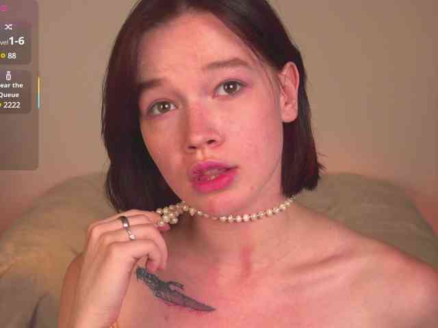 Shyover webcam