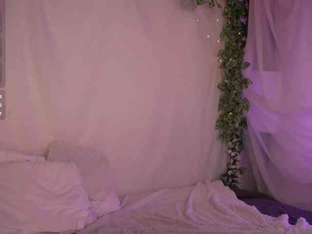 Shyover webcam