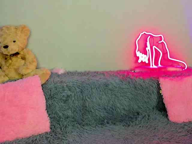 EvaBallmer webcam