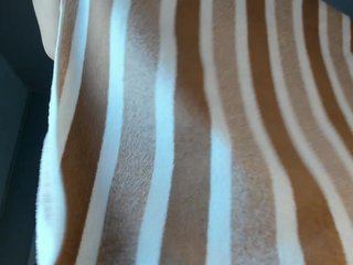 JuliettaBleer Porn Show