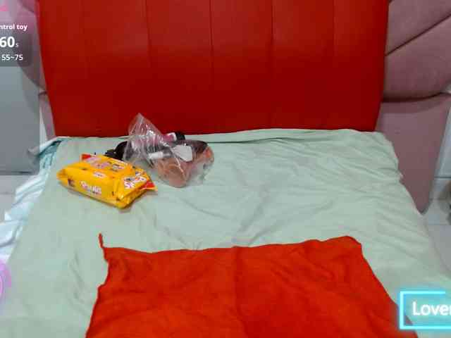 sara18a webcam