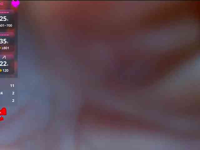 sara18a webcam