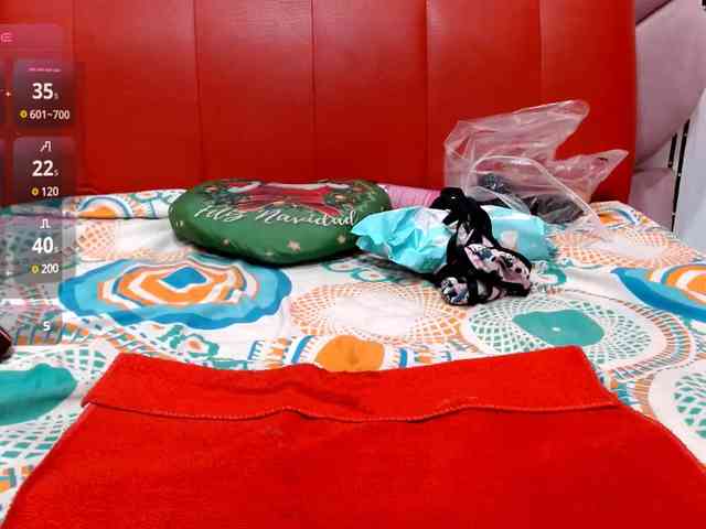 sara18a webcam