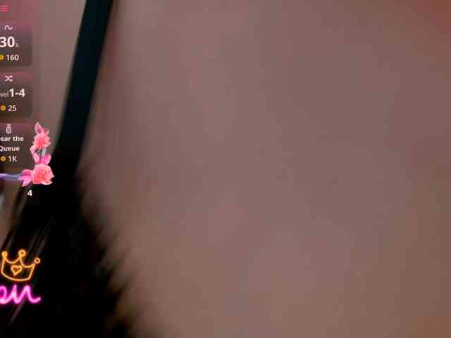 sara18a webcam