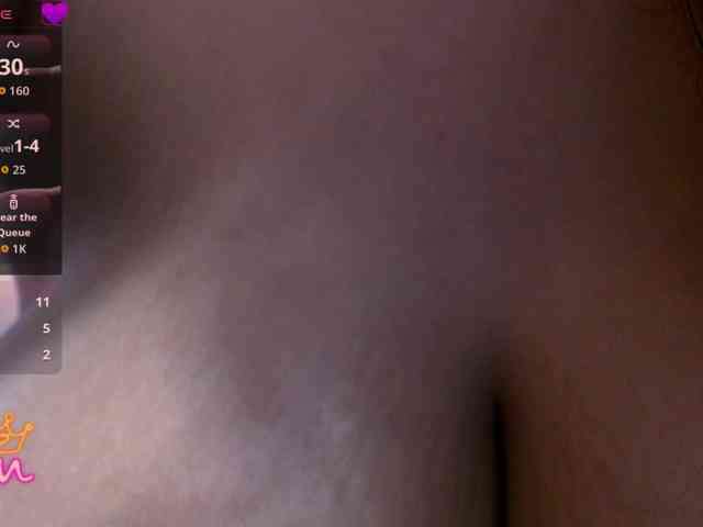 sara18a webcam