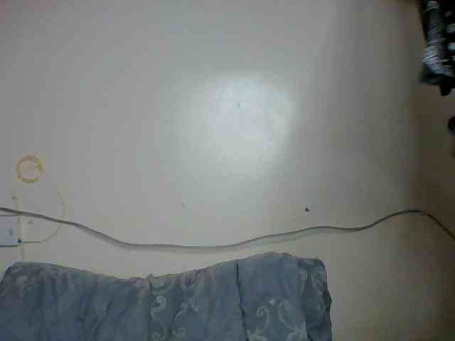 Kittygleam webcam