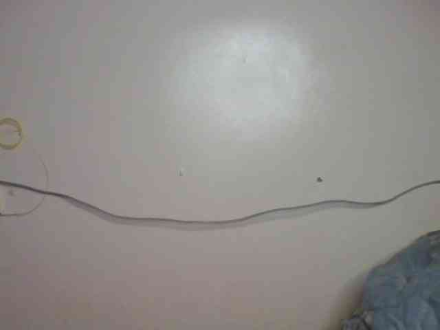 Kittygleam webcam