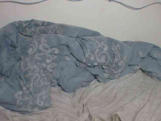 Kittygleam webcam