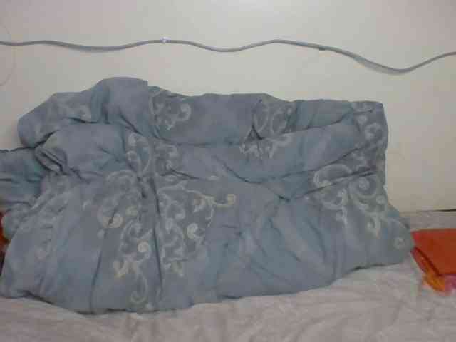 Kittygleam webcam