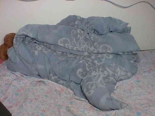 Kittygleam webcam