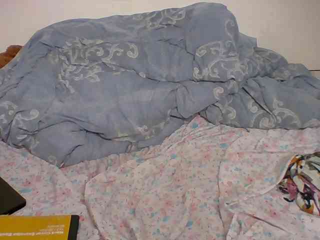 Kittygleam webcam