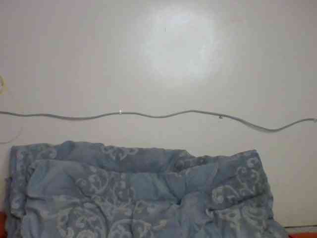 Kittygleam webcam