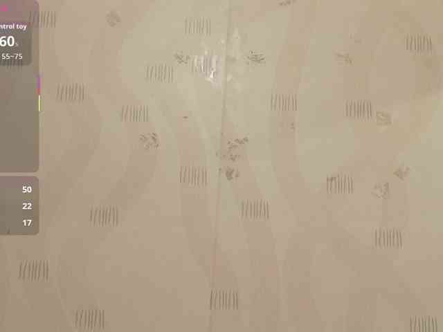 indianbeautiful webcam