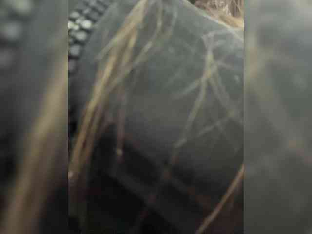 FunnyBanny0312 webcam