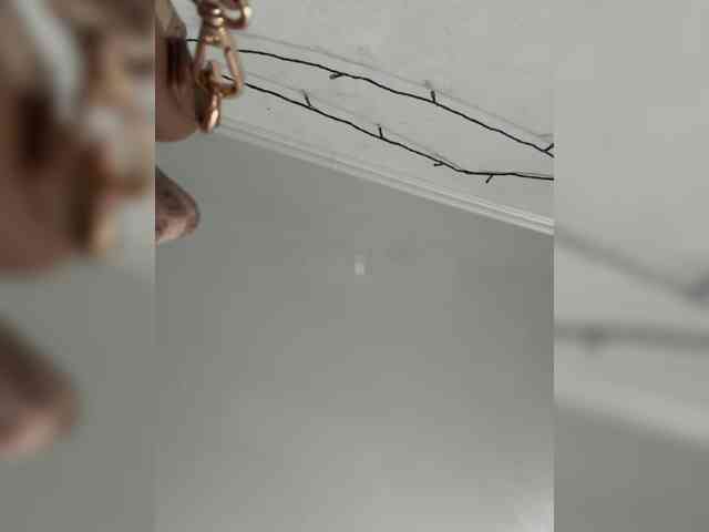 FunnyBanny0312 webcam