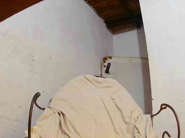 GoddesFreyja webcam