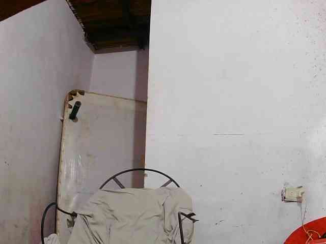 GoddesFreyja webcam