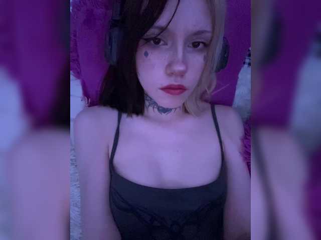 Cute_Kitten_Club