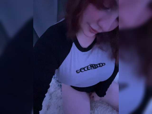 Cute_Kitten_Clu