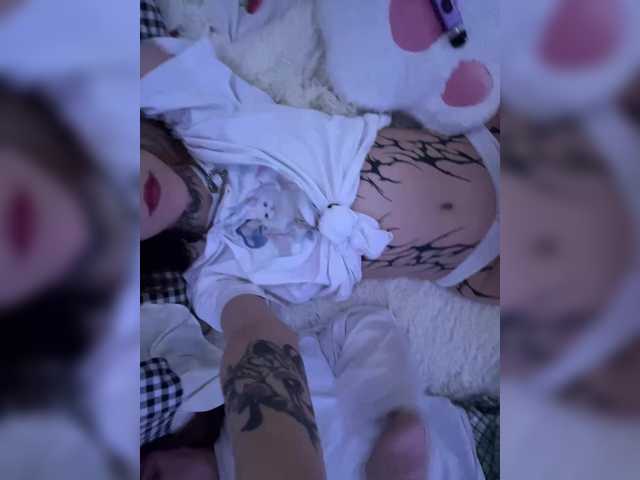 Molly- live cam