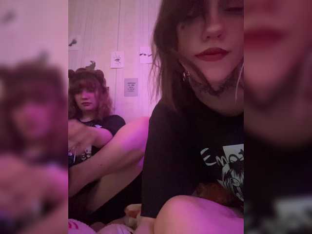 Cute_Kitten_Club
