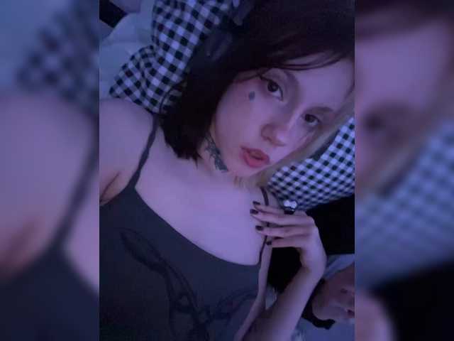 Cute_Kitten_Club