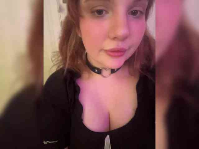 Cute_Kitten_Club webcam