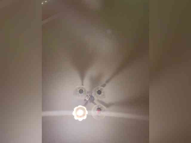 MaryMistress91